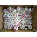 Chinese pure white garlic size 6.0-6.5cm 3PX80bags/10kg carton